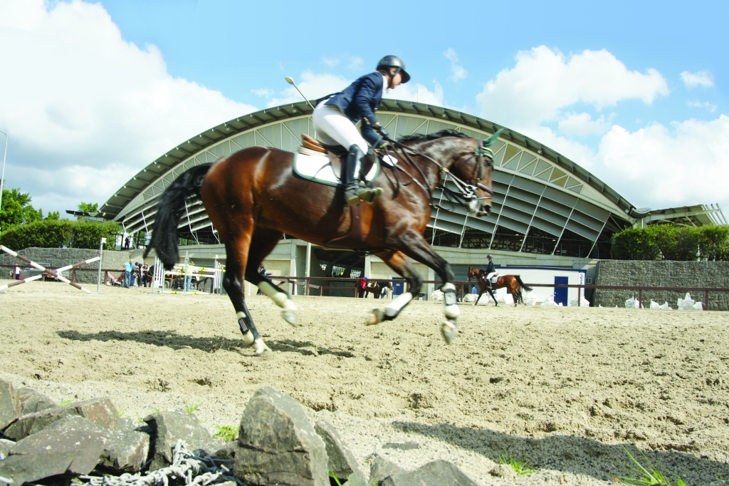 Image of a person riding a horse Infront of the Sydney International Equestrian Centre.